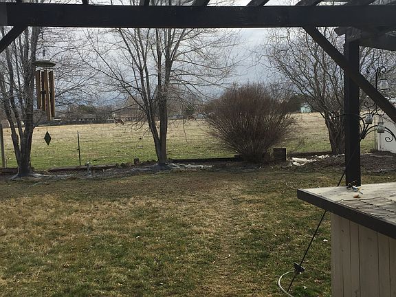 Backyard (no rear neighbors)