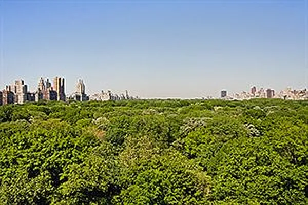 Sold by Douglas Elliman | media 14