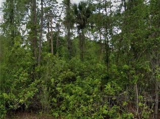 803 Abbott Ave, Lehigh Acres, FL 33972