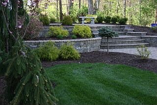 Professional landscaping