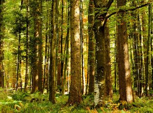 393 S Cooks Bridge Rd, Jackson, NJ 08527