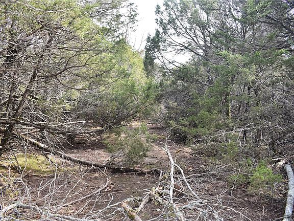 2nd image of Cedar Creek Rd