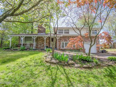 1908 Wintergreen Dr, Knoxville, TN, 37912