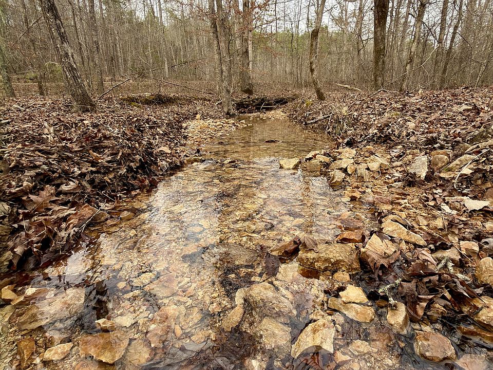 19th image of 1 Roan Creek Rd