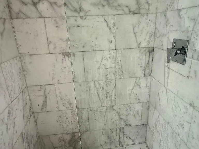 922 Jefferson Ave #6 — Photo 13
