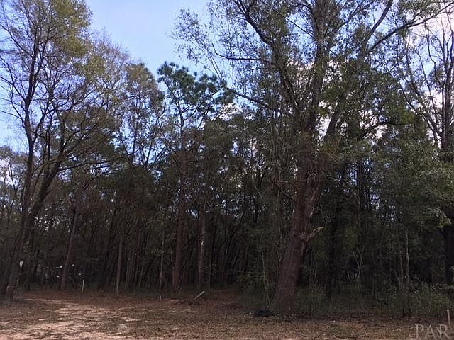 2nd image of 5423 Greenleaf Dr