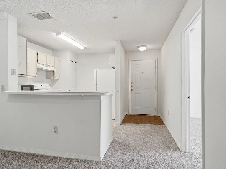 4240 Summer Landing Dr #207 — Photo 7