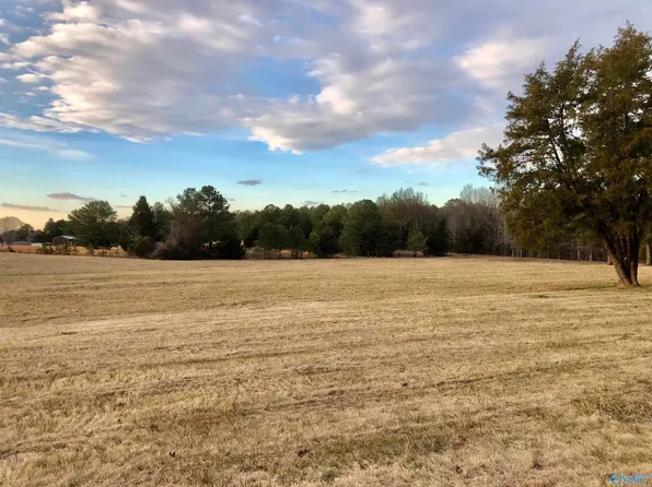 3.43 Highway 36 E, Laceys Spring, AL 35754