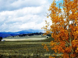 295 Saddle Horn Rd, Hartsel, CO 80449