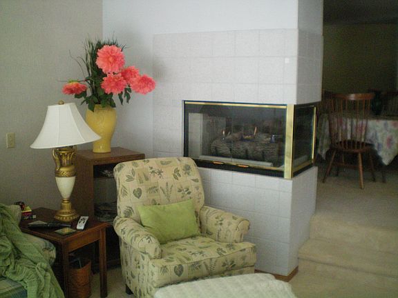 Gas fireplace
