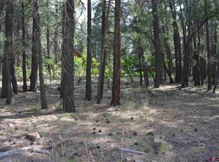 199 Spruce Way, Bayfield, CO 81122