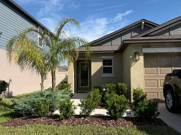 22465 Storybook Cabin Way, Land O Lakes, FL