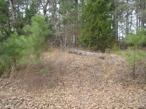 Briar Grv, Murchison, TX 75778