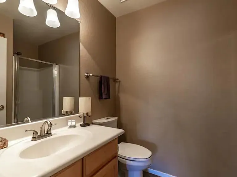 Main floor bathroom and shower