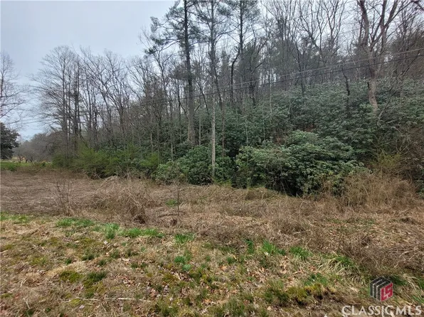 0 Highway 75 Alt, Helen, GA 30545