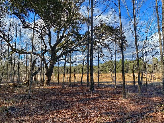 3rd image of 00 NE 18th Trail