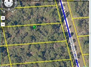 16149 Marsh Quail Rd, Weeki Wachee, FL 34614