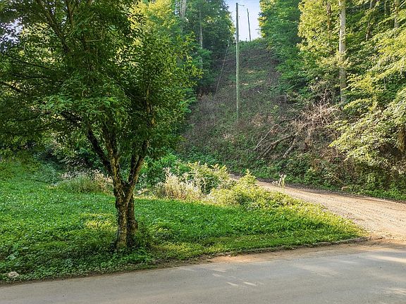 3rd image of 1717 Long Branch Rd