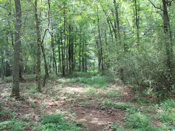 14.28 Blue Pond Blvd W, Sylvania, AL 35988