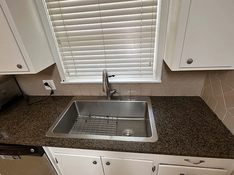 Kitchen sink and dishwasher