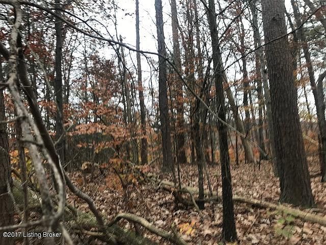 2nd image of 45-46 Loretta Dr