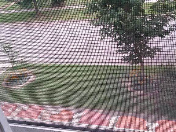 Looking out window outside