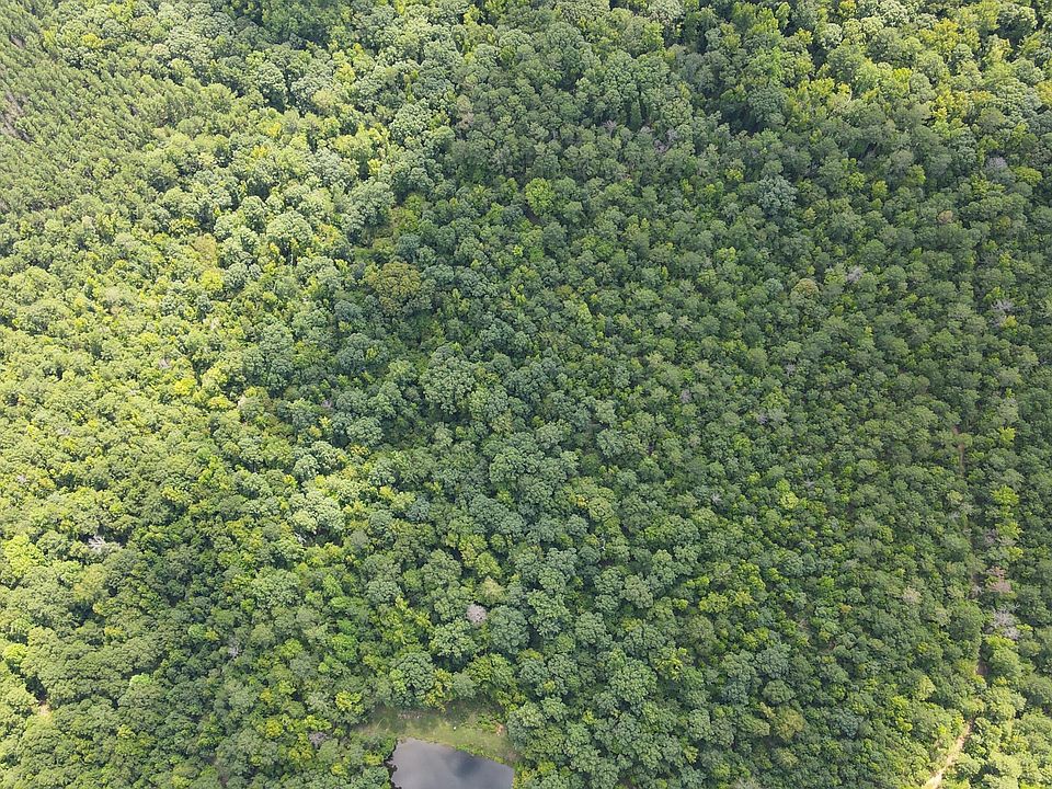 2nd image of 0 Skinner Rd
