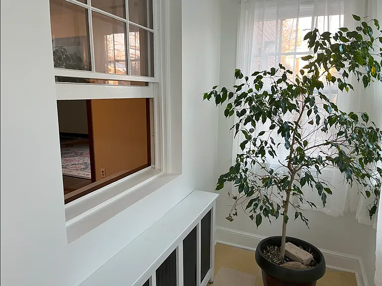 Sunroom runs alongside eastern side of house, has so many windows and a window into the bedroom