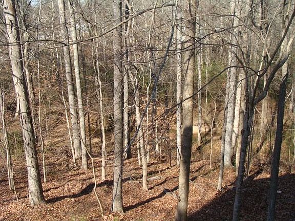 Wooded lot with private creek