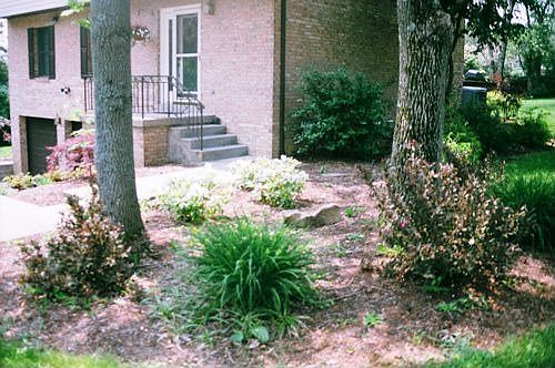 Many landscaped areas