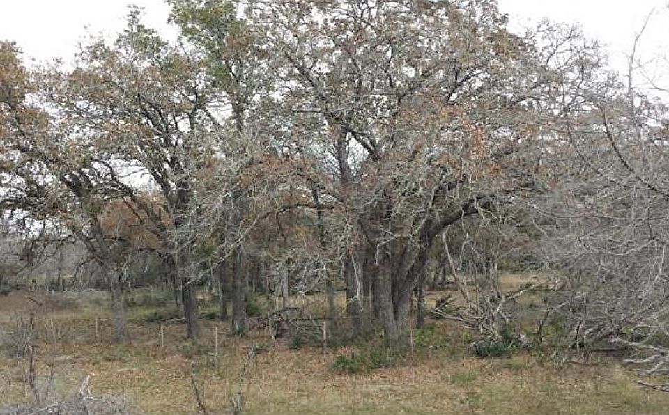 1st image of 11 Ac Edmonson Ln