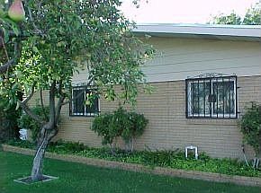 Fruit Bearing Tree Front of House