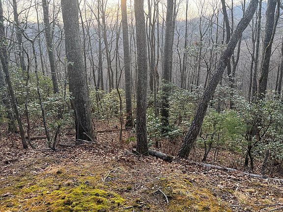 5th image of LOT-33A Watauga Rd