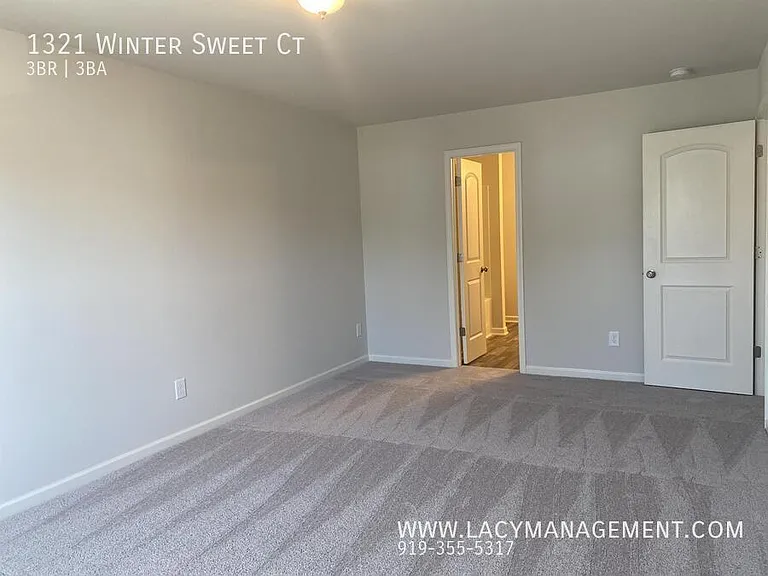 1321 Winter Sweet Ct — Photo 9