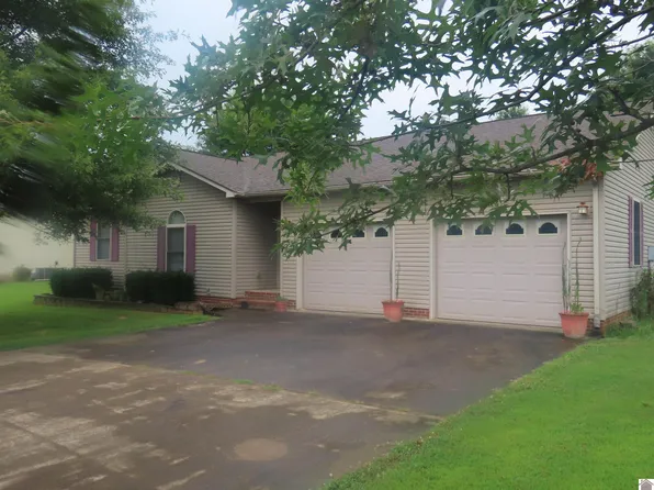 152 Dana Ln, Mayfield, KY 42066