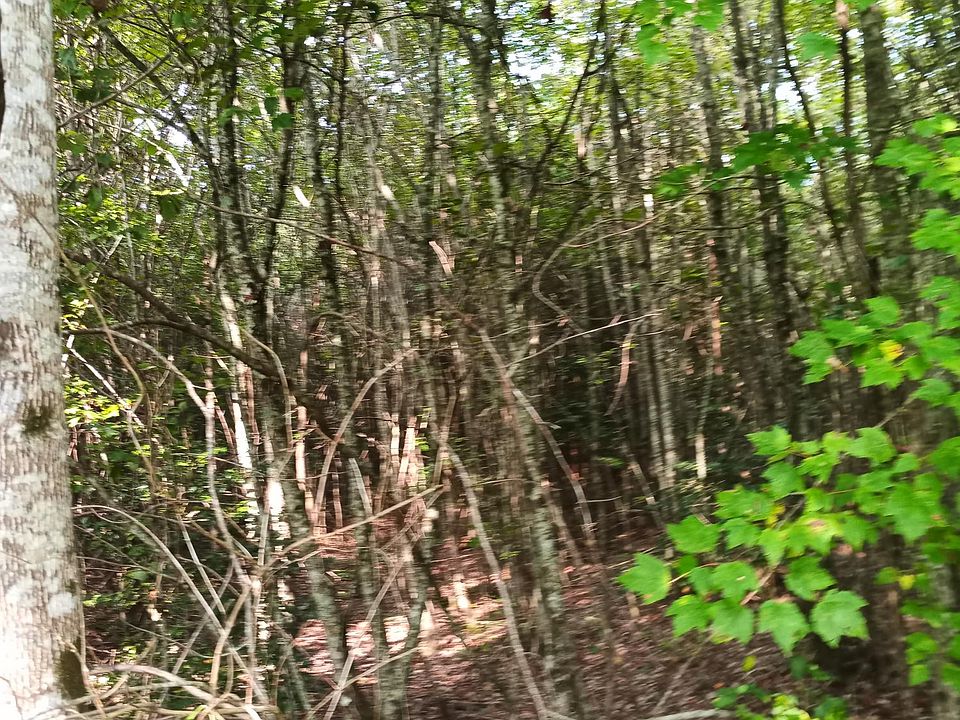 2nd image of 2 Three 4 Monteagle