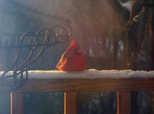 94 Puff Hill Dr, Dahlonega, GA 30533