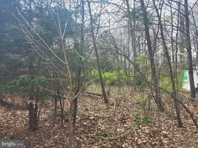 25 Shumac Trl, Augusta, WV, 26704