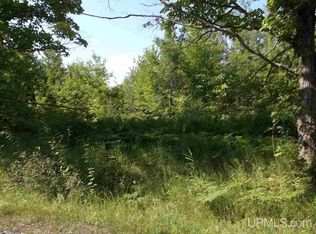 Tbd Lower Pike Rd, Chassell, MI 49916