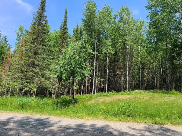 County Road 138, International Falls, MN 56649