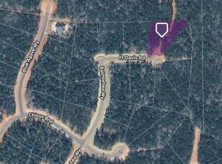 25108 Fort Davis Rd, Montgomery, TX 77316
