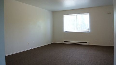 5th image of 501 Campanula Ave