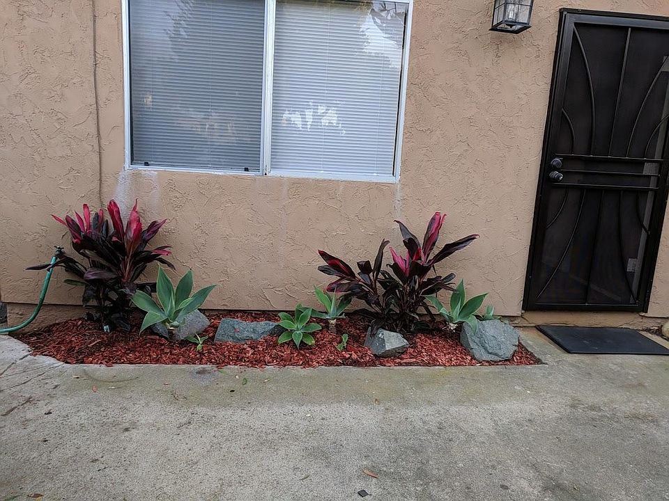 Looking towards Living room from Patio