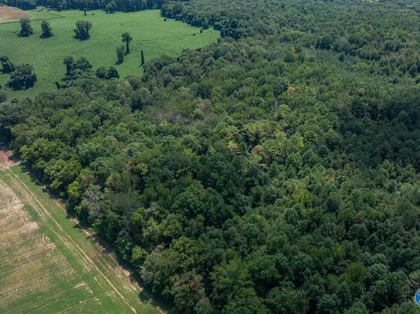 Carters Gin Rd, Toney, AL 35773