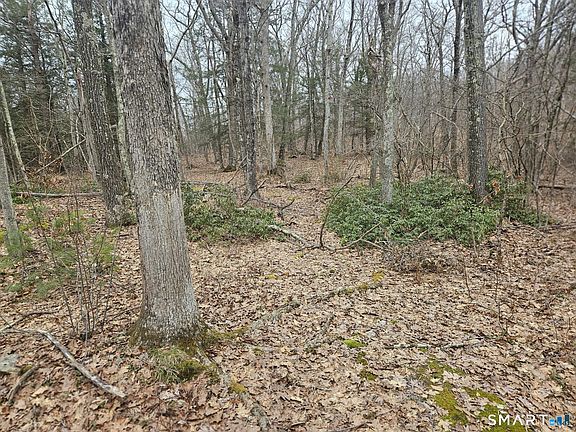 2nd image of Windy Ridge Road