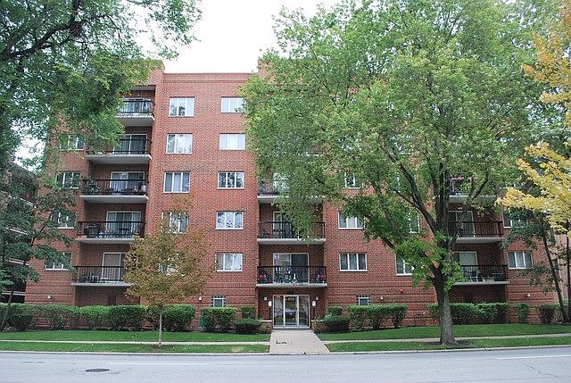 1st image of 820 Graceland Ave APT 303