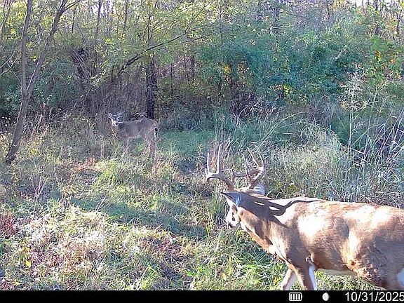 3rd image of 0 County Road 100e