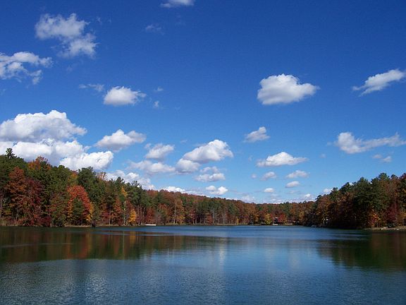 Lake in Neighborhood