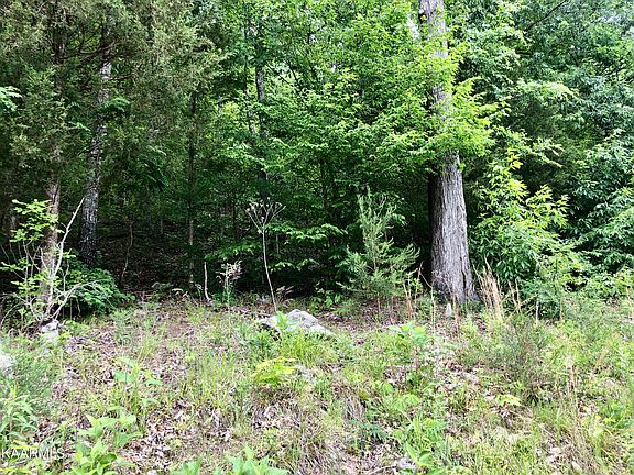 4th image of Melton Hill Dr