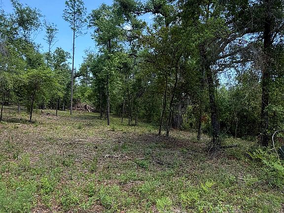 3rd image of NE Ivy Dr